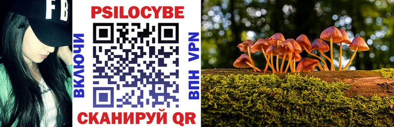 Псилоцибиновые грибы GOLDEN TEACHER  мега вход  Вологда  как найти закладки 
